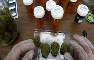 La cannabis podría prevenir o mejorar la diabetes y la obesidad, afirma experto