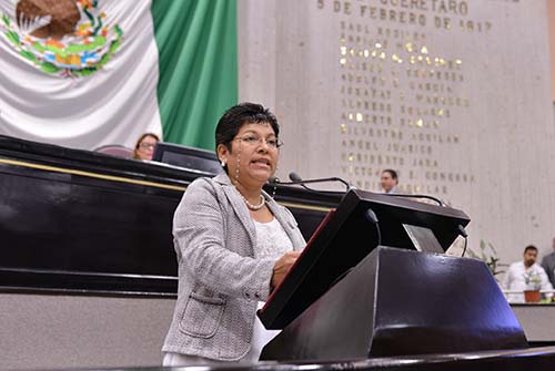 Proyecto minero de Veracruz, actividad ambiental más devastadora: Rocío Pérez