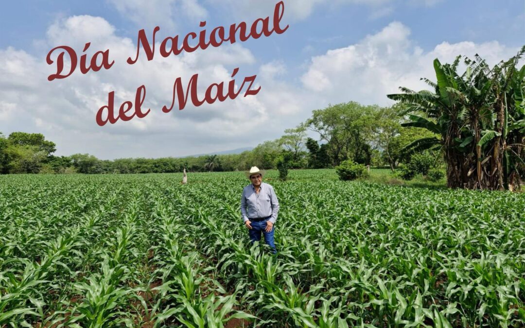 Esteban Bautista Celebra el Día Nacional del Maíz como Símbolo de Identidad Mexicana