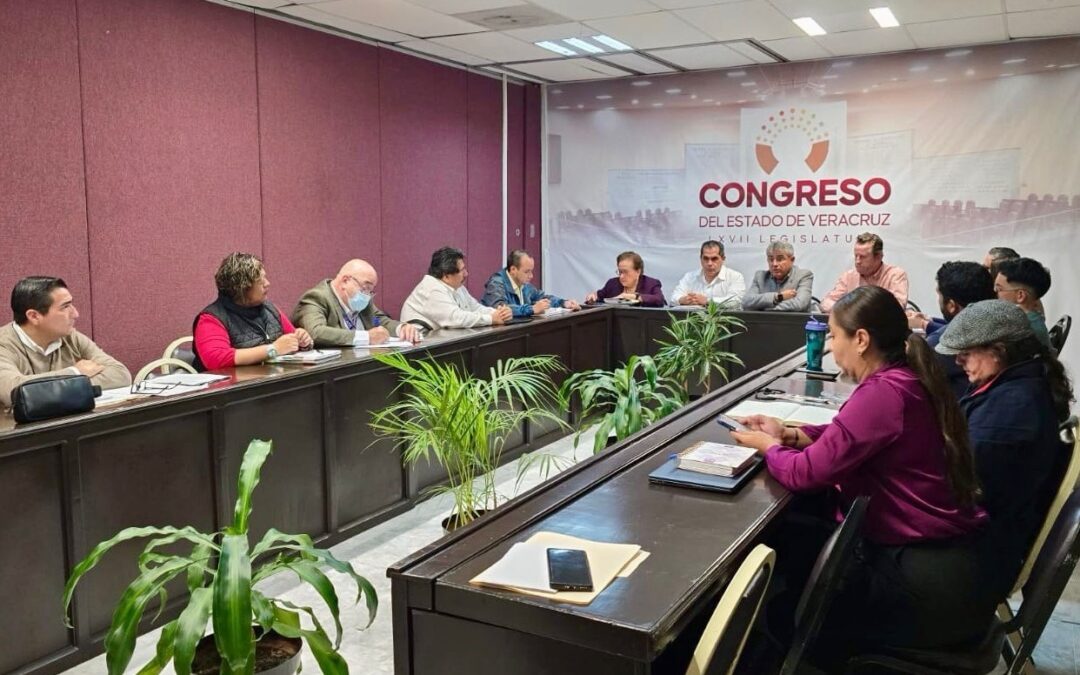 Analizan diputados propuestas para enriquecer iniciativa de Ley de Seguridad Vial