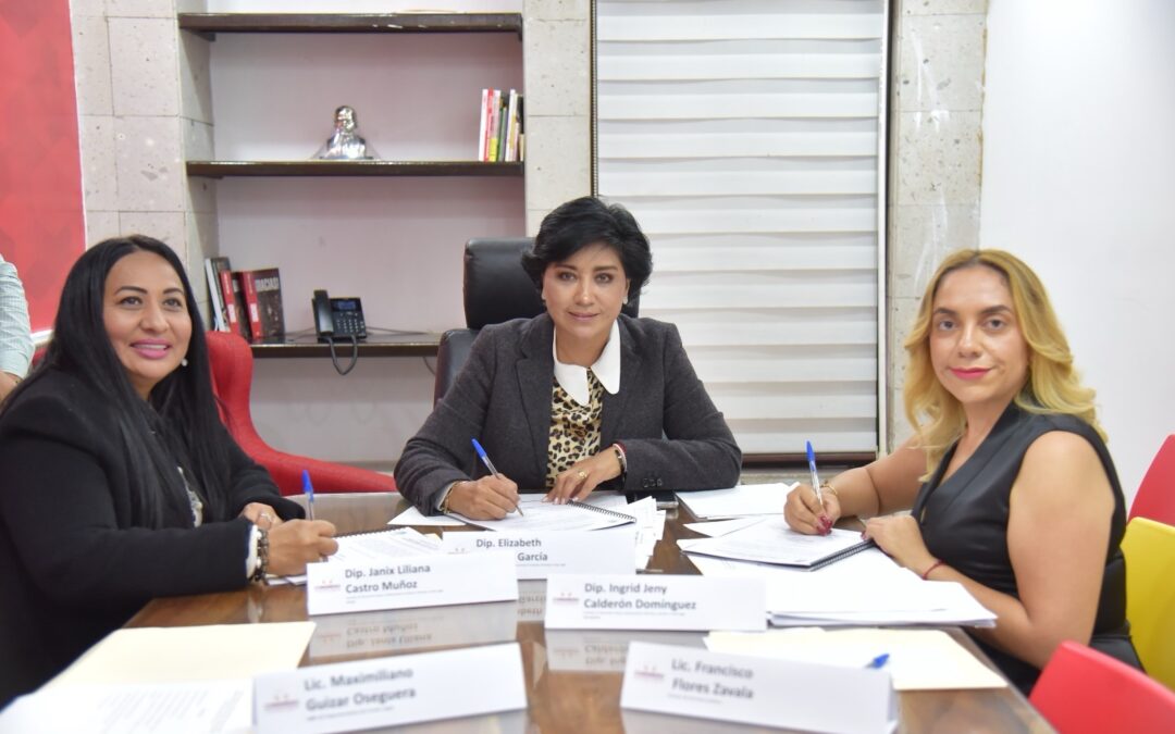 Aprueba Comisión de Desarrollo Urbano su Programa de Trabajo para el segundo año