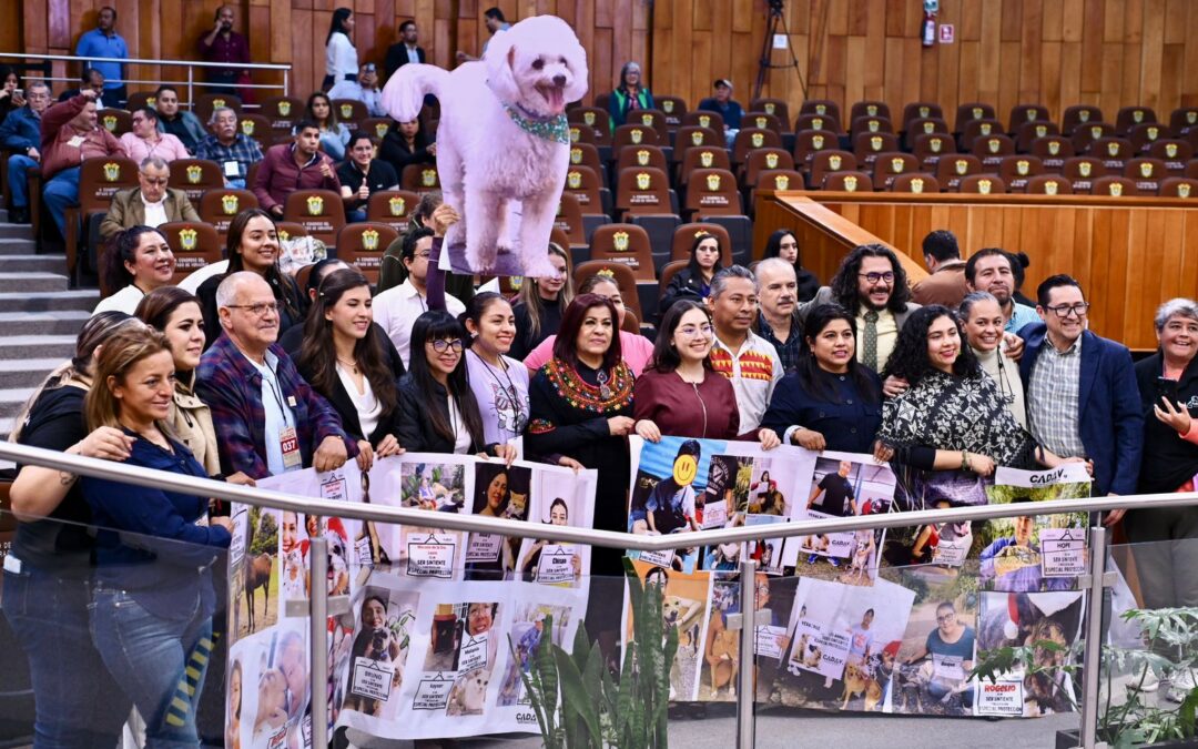 Congreso eleva a rango constitucional la protección a los animales