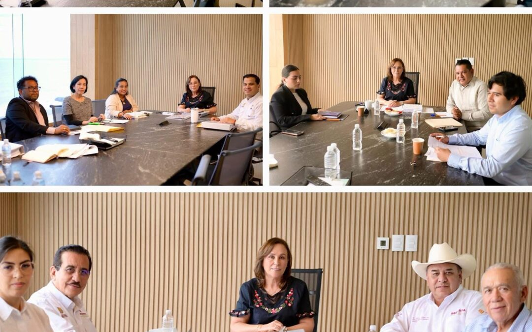 Veracruz se alista para el primer informe de Rocío Nahle: Gabinete en sesión para detallar avances en transformación estatal