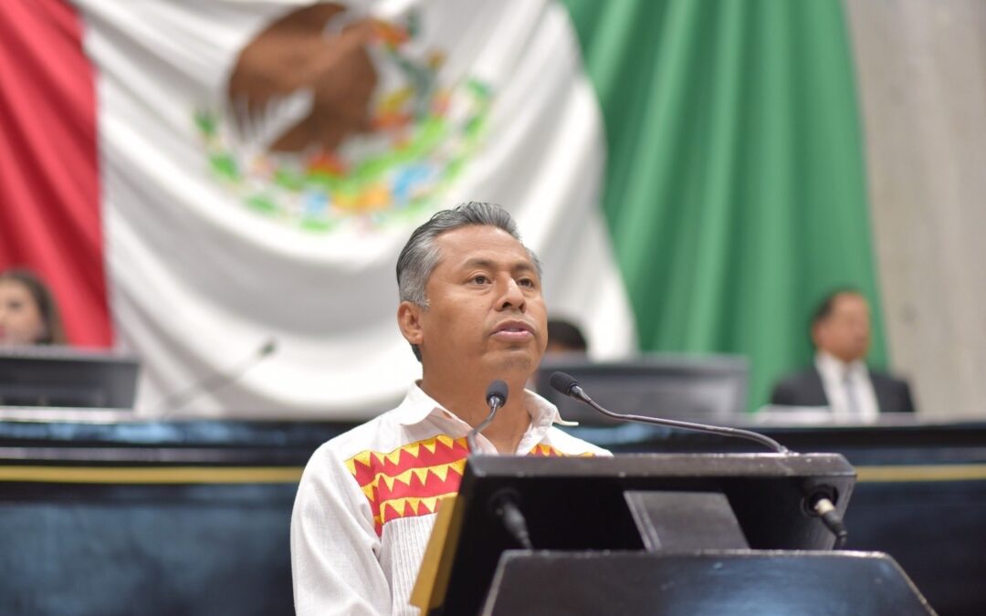 Exhorta diputado a incrementar presupuesto para preservar lenguas originarias&nbsp;